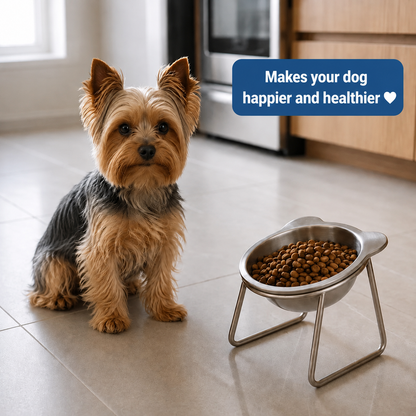 Puryvo™ | Orthopedic Food Bowl