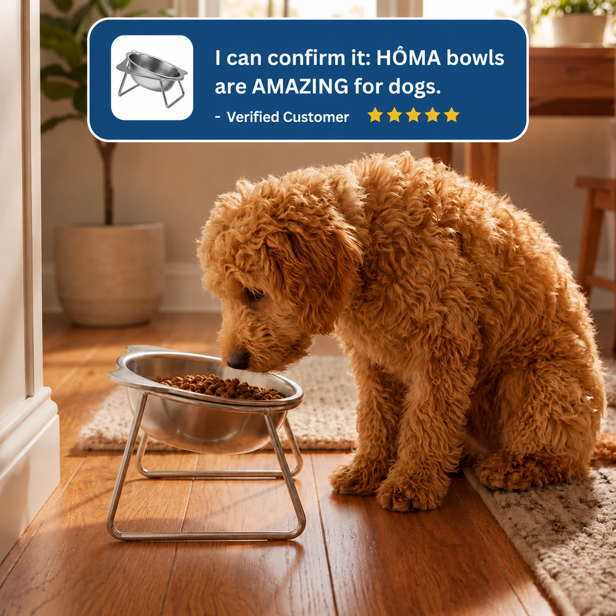 Puryvo™ | Orthopedic Food Bowl