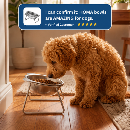 Puryvo™ | Orthopedic Food Bowl