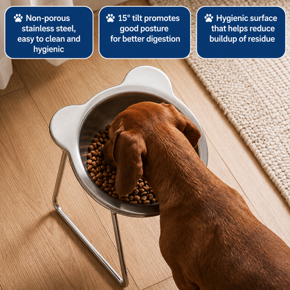 Puryvo™ | Orthopedic Food Bowl