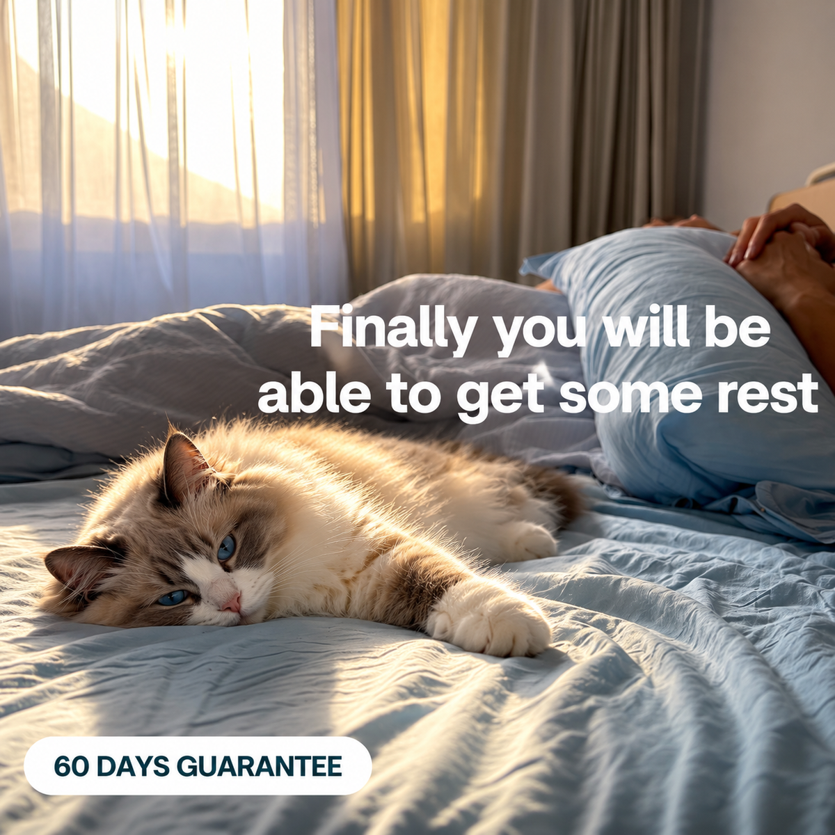 Solve Your Cat's Bodedom In Seconds