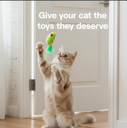 Solve Your Cat's Bodedom In Seconds