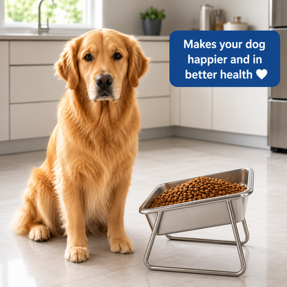 Puryvo™ | Orthopedic Food Bowl