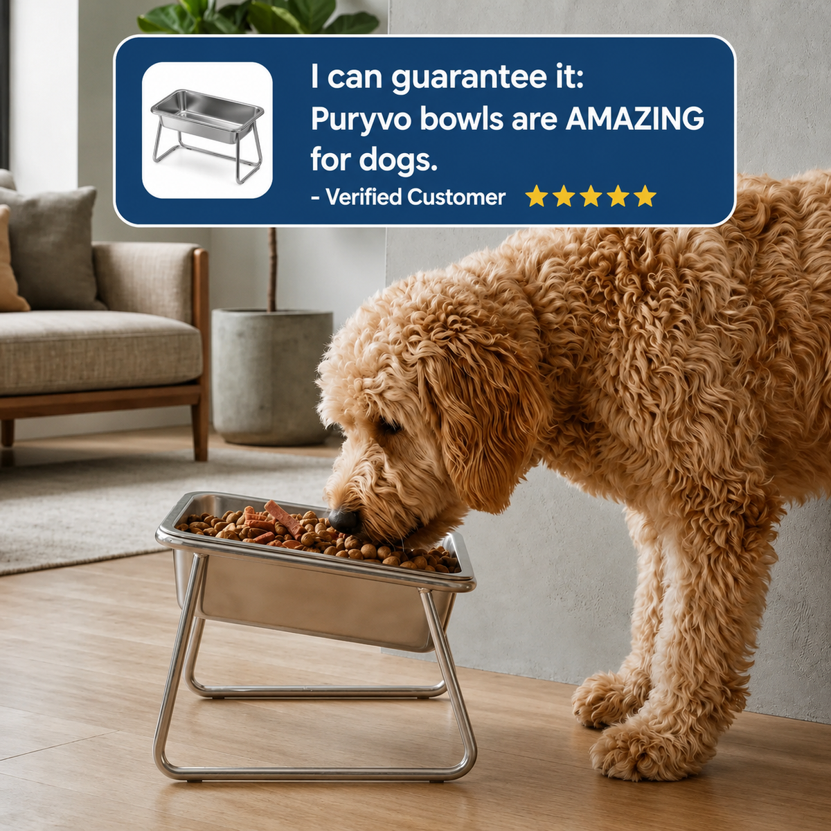 Puryvo™ | Orthopedic Food Bowl